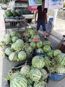 漳州永泰吃瓜事件,一场网络热议背后的真相探寻  第1张